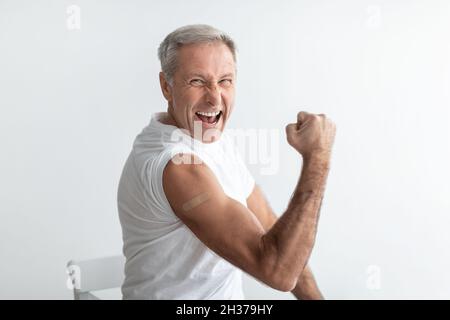 Joyful vaccinato Senior Male mostrando bicipite su Grey Studio sfondo Foto Stock