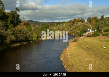 Ghillie's (una guida di pescatori) cottage sul fiume Tweed a Lowood vicino a Melrose nei confini scozzesi. Foto Stock