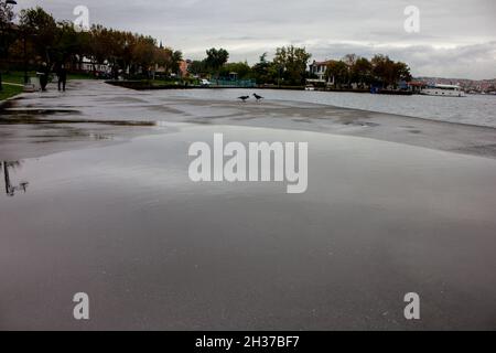 Balat,Fatih,Istanbul,Turchia-Ottobre-Sabato-2021: Tempo piovoso. Puddle sulla spiaggia e due corws.people neri che camminano sulla spiaggia Foto Stock