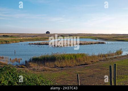 Mary Stanford stazione di scialuppa sulla spiaggia di Nook in lontananza e Rye Harbour Nature Reserve sulla costa del Kent in autunno Inghilterra Regno Unito KATHY DEWITT Foto Stock