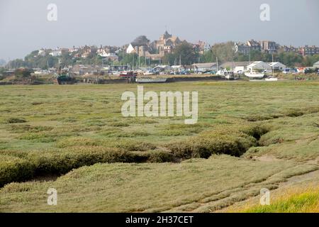 Vista del paesaggio in autunno guardando verso la città di Rye in Kent Inghilterra Regno Unito KATHY DEWITT Foto Stock