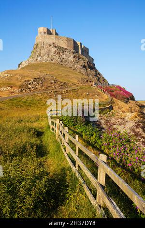 Lindisfarne Castello su una scogliera Lindisfarne Isola Sacra Lindisfarne Northumberland Inghilterra GB Europa Foto Stock