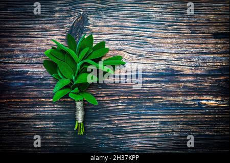 Un mazzo di salvia appena raccolte su un rustico sfondo di legno. Foto Stock