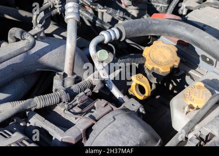 Sonda dell'olio, tappo dell'olio e serbatoio antigelo. Dettagli polverosi del vano motore di un'auto a quattro piani (boxer) sotto il cofano aperto. Primo piano in una giornata di sole Foto Stock