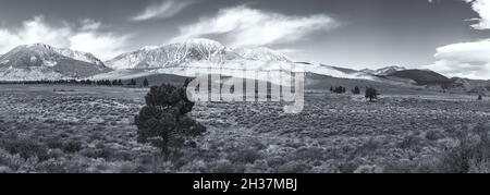 Ampia vista sul paesaggio a est delle montagne della Sierra Nevada a June Lake Loop, Mono County, California, Stati Uniti, all'inizio dell'autunno. Foto Stock