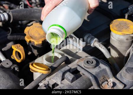 Versare il liquido di raffreddamento antigelo nel serbatoio di espansione. Dettagli polverosi del vano motore di un'auto a quattro piani (boxer) sotto il cofano aperto. Foto Stock