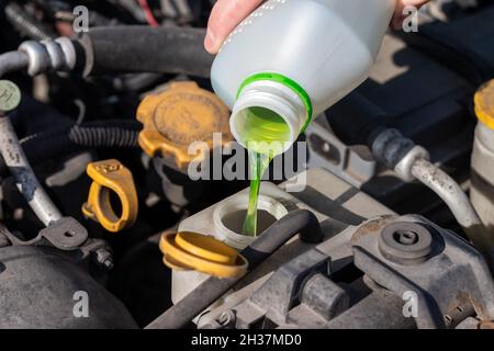 Versare il liquido di raffreddamento antigelo nel serbatoio di espansione. Dettagli polverosi del vano motore di un'auto a quattro piani (boxer) sotto il cofano aperto. Foto Stock