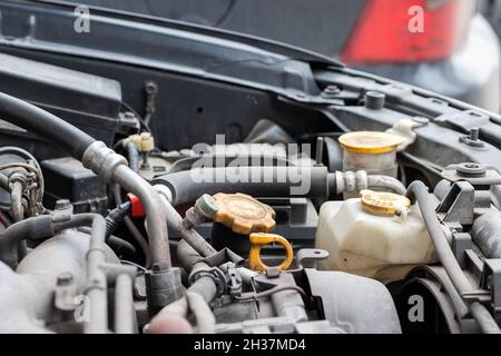 Sonda dell'olio, tappo dell'olio e serbatoio antigelo. Dettagli polverosi del vano motore di un'auto a quattro piani (boxer) sotto il cofano aperto. Vista laterale primo piano Foto Stock