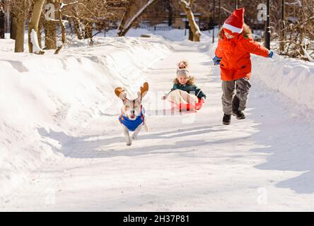 La famiglia si diverte con la neve nella giornata invernale. Bambini e cani in costumi di Natale sledding nel parco Foto Stock