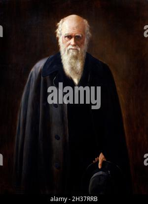 Charles Darwin. Ritratto del naturalista inglese, Charles Darwin (1809-1882) di Mabel Beatrice Messer, oi su tela, 1912. Il dipinto è una copia di un'opera di John Collier Foto Stock