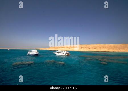 I turisti si godono il mare e il sole nella piccola isola di Giftun vicino Hurghada, Egitto Foto Stock