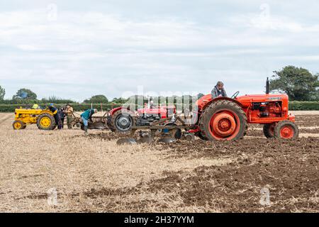 Trattori Vintage al Great All England Plowing Match tenutosi a Droxford, Hampshire, Inghilterra, Regno Unito, ottobre 2021 Foto Stock