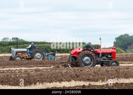 Trattori Vintage al Great All England Plowing Match tenutosi a Droxford, Hampshire, Inghilterra, Regno Unito, ottobre 2021 Foto Stock