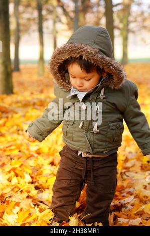 Colpo verticale di bambino maschio di due anni tra le foglie gialle cadute in autunno Foto Stock