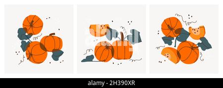 Set di vita decorativa con zucche arancio brillante. Disegno a mano di fette, ramoscelli e foglie, frutta di verdura. Ideale per la stampa, poster Illustrazione Vettoriale