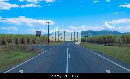 Terreno agricolo vicino a Mirani, Queensland Foto Stock