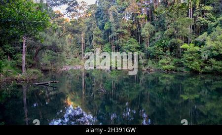 Fiume rotto, Parco Nazionale dell'Eungella Foto Stock