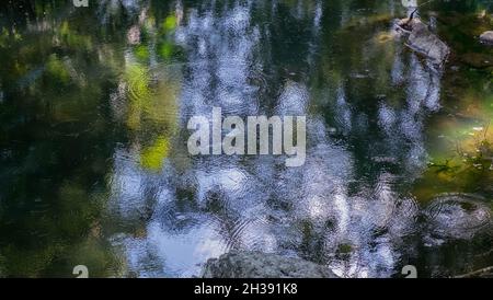 Fiume rotto, Parco Nazionale dell'Eungella Foto Stock