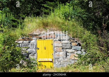 Una vecchia cantina con porta gialla, Elliston, Terranova e Labrador Foto Stock