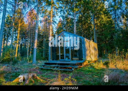 Capanna di legno in una foresta autunnale nei Paesi Bassi, cabina fuori griglia, cabina di legno cerchiata da colorati alberi di caduta gialli e rossi. Foto Stock