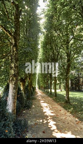 Bazouges la Perouse, Francia. Dipartimento di Ille-et-Vilaine, Gran Bretagna. I giardini di Chateau de la Ballue a Bazouges la Perouse, sono membri del prest Foto Stock