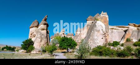 Vista panoramica di Pasabagi in Cappadocia. Fata Chimneys o peri bacalari. Museo all'aperto in Cappadocia. Viaggia verso la Cappadocia Nevsehir Turchia. Foto Stock