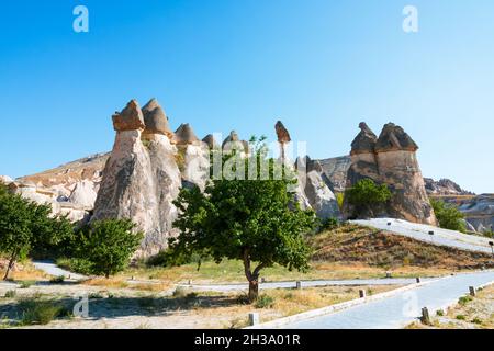 Vista del Museo all'aperto di Pasabagi in Cappadocia Nevsehir Turchia. Musei all'aperto in Turchia. Viaggio in Cappadocia. Punti di riferimento o bellezze naturali di Foto Stock