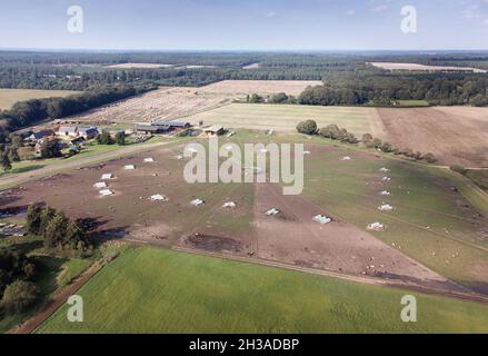 Immagine aerea sul villaggio di Weeting, Brandon in Inghilterra con una fattoria di maiale in primo piano Foto Stock