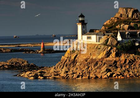 FRANCIA. FINISTERE (29) BAIA DI MORLAY SUL MARE DI IROISE. LOUET ISLAND Foto Stock