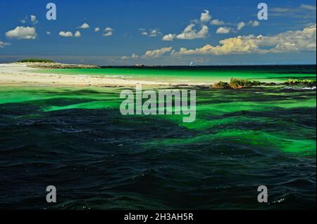 FRANCIA. REGIONE BRETAGNA. FINISTERE (29) ARCIPELAGO DI GLENANS. ISOLOTTO DI BANANEC Foto Stock