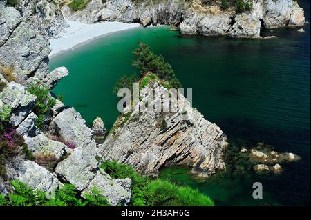 FRANCIA. FINISTERE (29) REGIONE BRETAGNA. PENISOLA DI CROZON. CAPRA CAPE Foto Stock