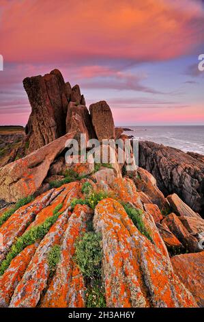 FRANCIA. VENDEE (85) ISOLA DI YEU, COSTA TRANCHE (POINTE DE LA TRANCHE) Foto Stock