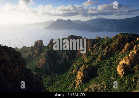 FRANCIA. CORSICA DEL SUD (2B) BAIA DI PORTO. PROFONDO E STRETTO TORRENTE DI PIANA Foto Stock