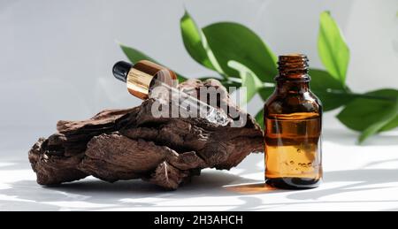 Mockup di una bottiglia aperta di contagocce di vetro vicino a driftwood su uno sfondo bianco grigio con le foglie. Ombre dure. Pipetta cosmetica su sfondo bianco. Foto Stock