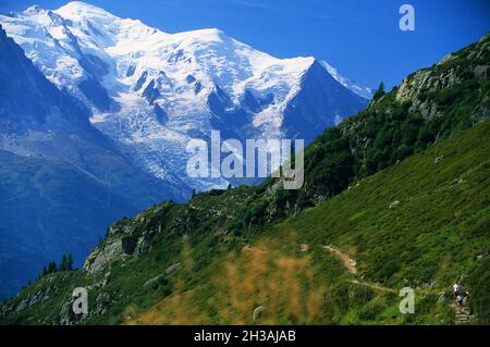 FRANCIA. ALTA SAVOIA (74) NEI PRESSI DI CHAMONIX Foto Stock