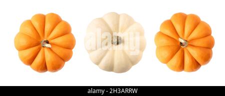 Vista dall'alto delle zucche arancioni e bianche su sfondo bianco isolato Foto Stock