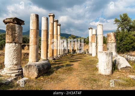 Colonne in rovina di colonnato ionico doppio stoa in Agora zona mercato di Nysa antica città nella provincia di Aydin della Turchia. l'agora era un ampio mercato Foto Stock