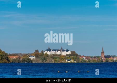 Landschaft am Großen Plöner See mit Blick auf das Plöner Schloß im herbstlichen Oktober, eine Entenfamilie im Landeanflug4 Foto Stock