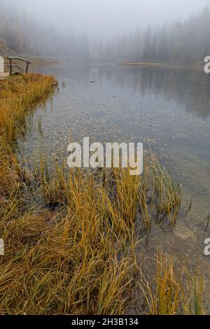 Mattinata di nebbia sulle rive del Lago di Antorno, Dolomiti, Italia Foto Stock