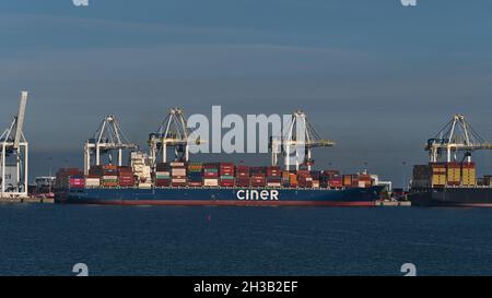 Vista del Roberts Bank Superport, situato nello stretto di Georgia e parte del Porto di Vancouver, con nave container ormeggio Ciner Czech. Foto Stock