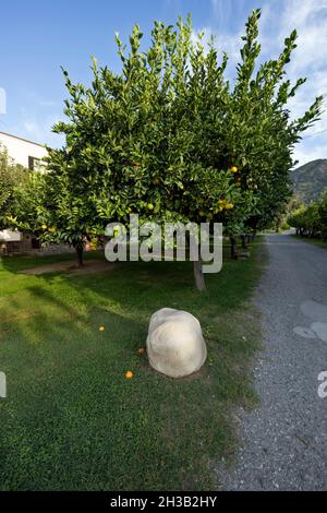 Italia, Calabria, Locri (RC), agriturismo Foto Stock