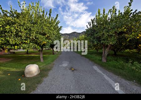 Italia, Calabria, Locri (RC), agriturismo Foto Stock