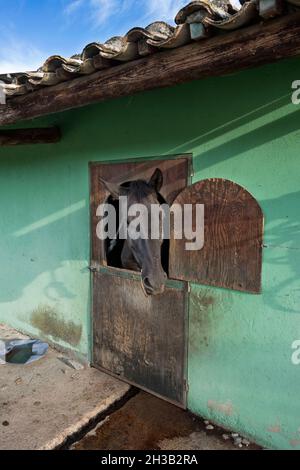 Italia, Calabria, Locri (RC), agriturismo Foto Stock