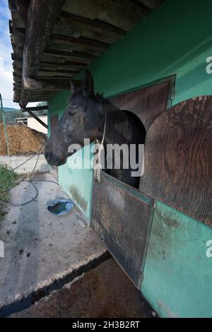 Italia, Calabria, Locri (RC), agriturismo Foto Stock