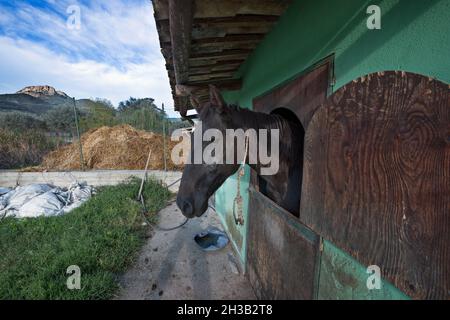 Italia, Calabria, Locri (RC), agriturismo Foto Stock