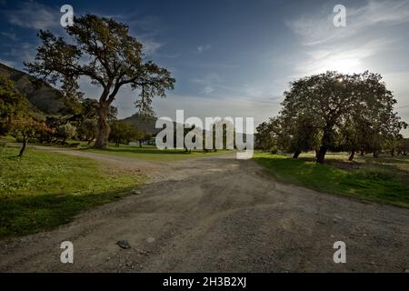 Italia, Calabria, Locri (RC), agriturismo Foto Stock