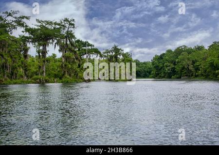 Paesaggio panoramico del Wakulla Springs state Park a Tallahassee, Florida Foto Stock