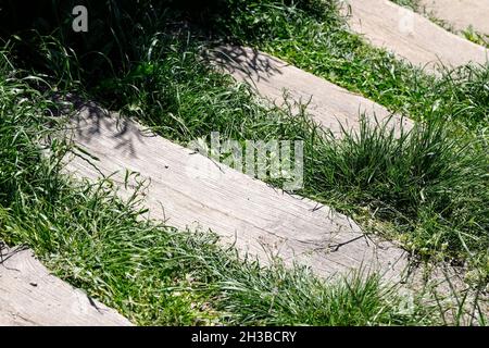 Gradini di legno e la vegetazione circostante sono visti a Varsavia nel parco di una proprietà immobiliare chiamato Goclaw. Foto Stock