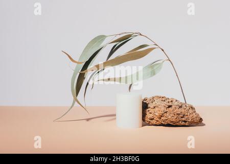 Organica cosmetica mock-up con cilindro bianco podio accanto alla pietra e ramo di eucalipto su sfondo bianco-beige Foto Stock