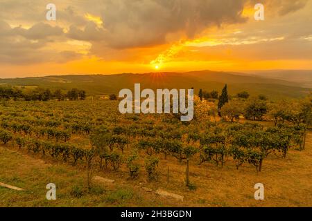 Vacanze di viaggio nelle terrazze vigneto. Paesaggio panoramico al tramonto nella città di Montalcino in Toscana al tramonto. Foto Stock